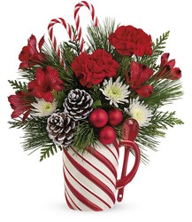 Send a Hug Sweet Stripes Bouquet from Arjuna Florist in Brockport, NY